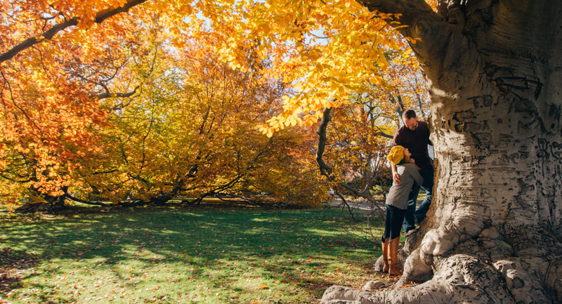 Rake Often to Keep Your Marriage from "FALL-in" Apart