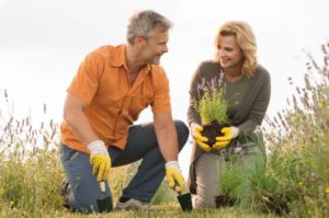 Couple gardening - why maintenance is so good for your marriage